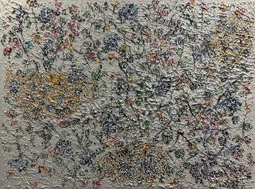 Surtsey - Plöntur í hreindýramosa